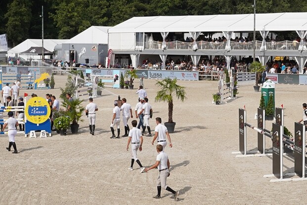 14 vierjarigen worden in Gesves gehuldigd als winnaars van de STX Cyclus voor jonge paarden!