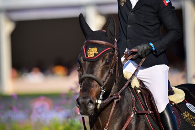 Omar Abdul Aziz Al Marzooqi wint Zangersheide Sires, Jérôme Guery vierde