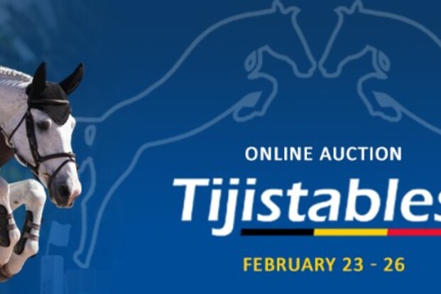Online Auction voor Tiji Stables