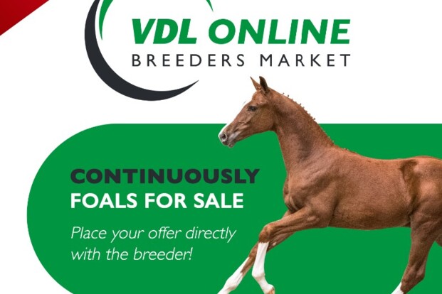 Nieuwe veulens op VDL Online Breeders Market