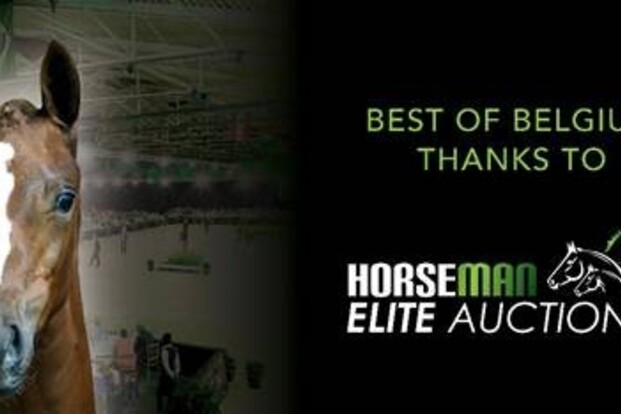 Nieuw concept bij Horseman Elite Auction!