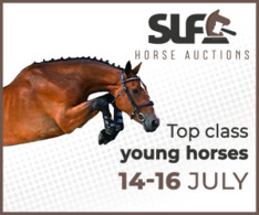 SLF young horses auction loopt deze avond af!