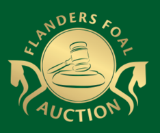 September veiling Flanders Foal Auction in S