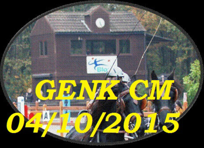 Genk, resultaten CM - 04/10/2015