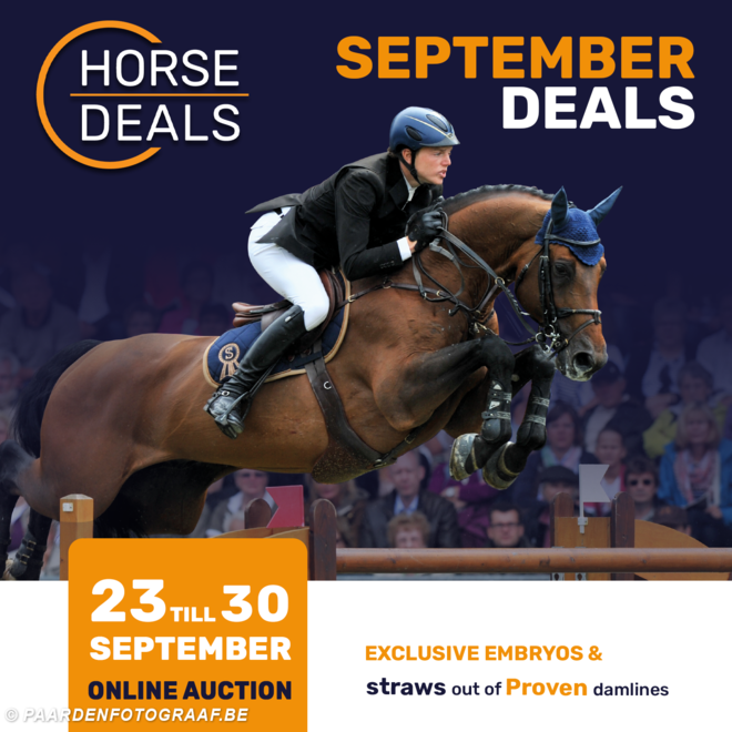 De September Deals van Horsedeals zijn van start gegaan!