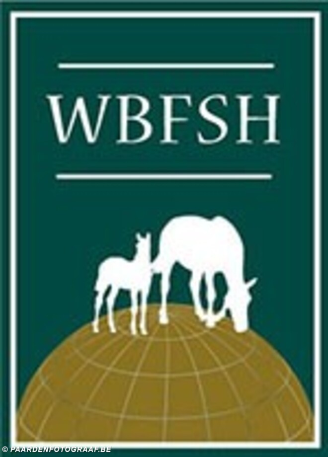 WBFSH eindstand: BWP op twee, sBs op vijf