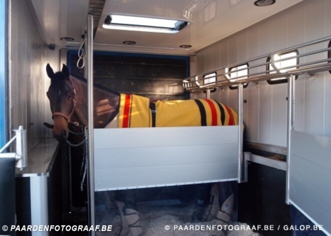 Vluchteling in Belgische paardenvrachtwagen